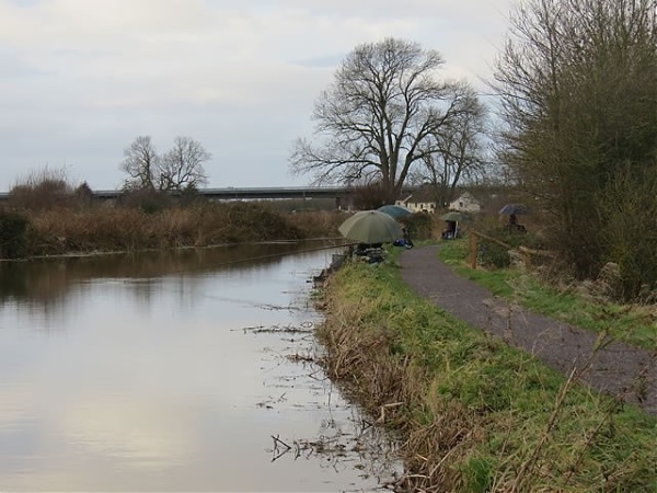 Angling in the Bridgewater Canal