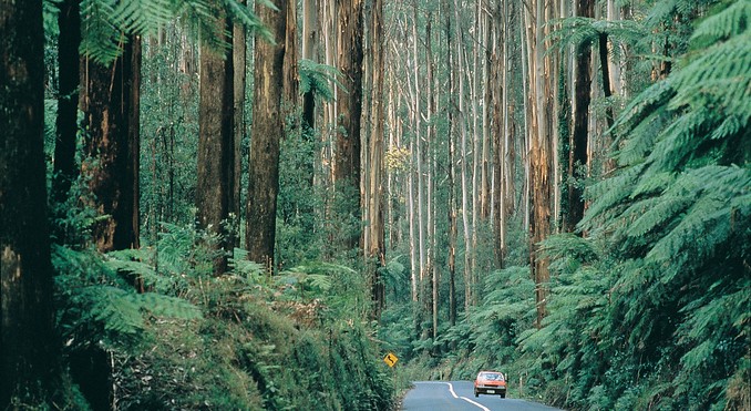 Ferny Creek